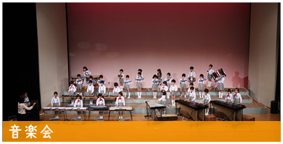 冬の写真